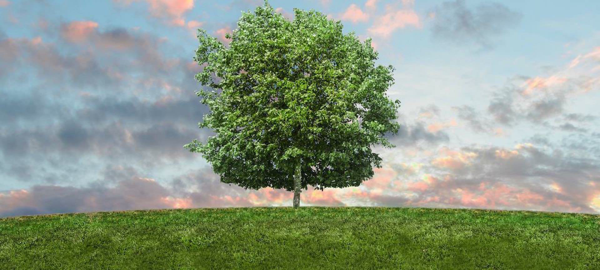 parallax background